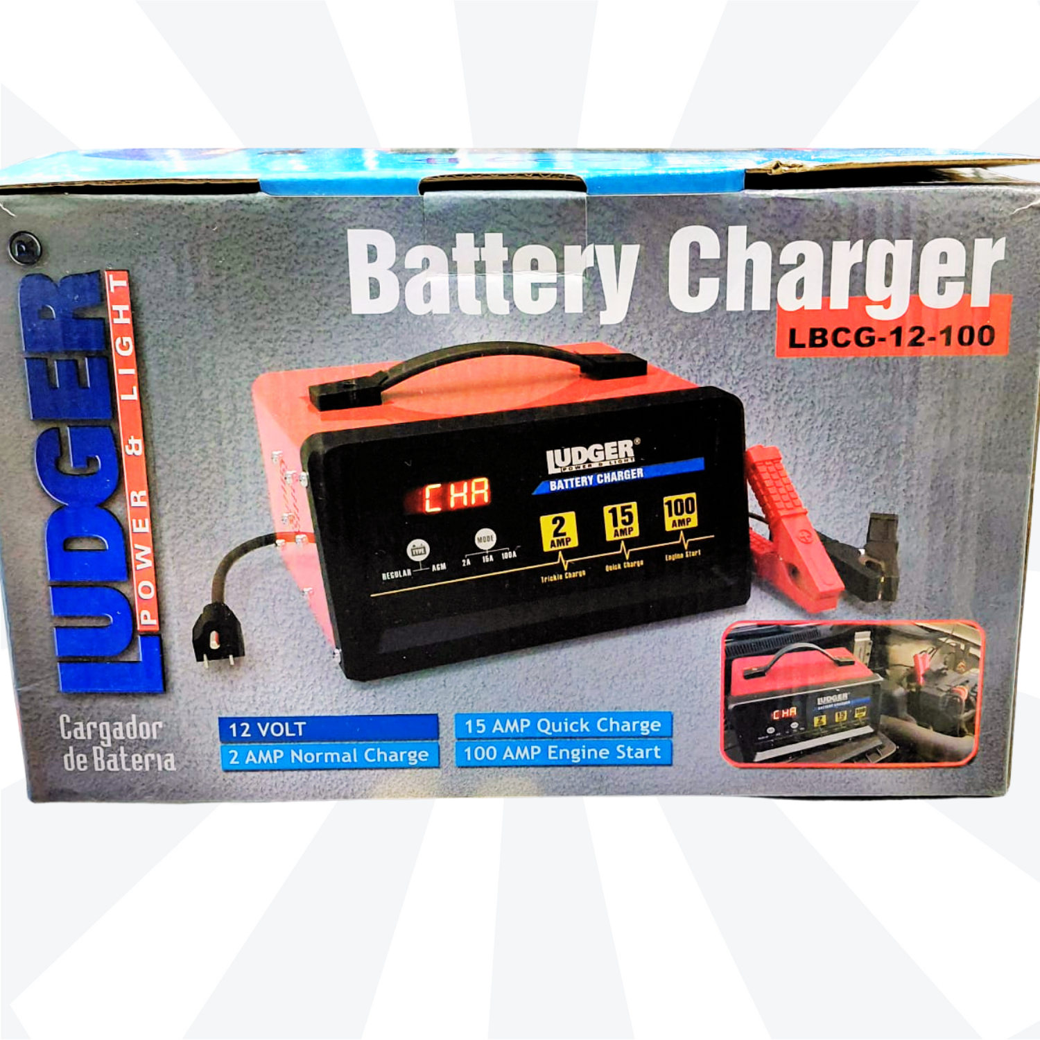 LUDGER Battery Charger LBCG-12-100